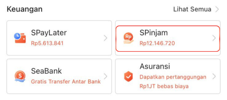 cara bayar spinjam